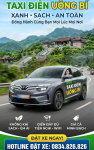 Taxi khu vực Vàng Danh, Nam Khê